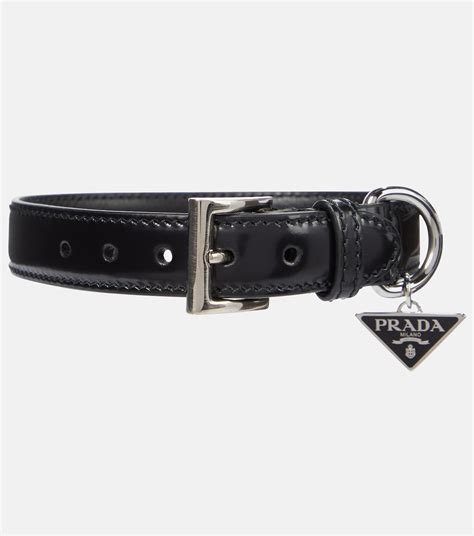 prada collar|designer inspired dog collar.